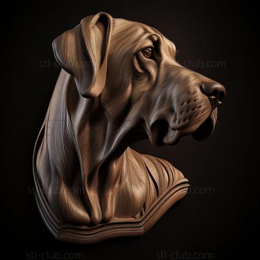 3D model st Great Dane dog (STL)